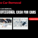 Professional Cash for Cars
